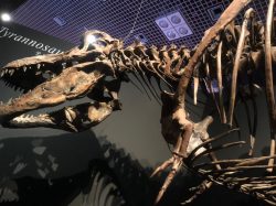 恐竜展!